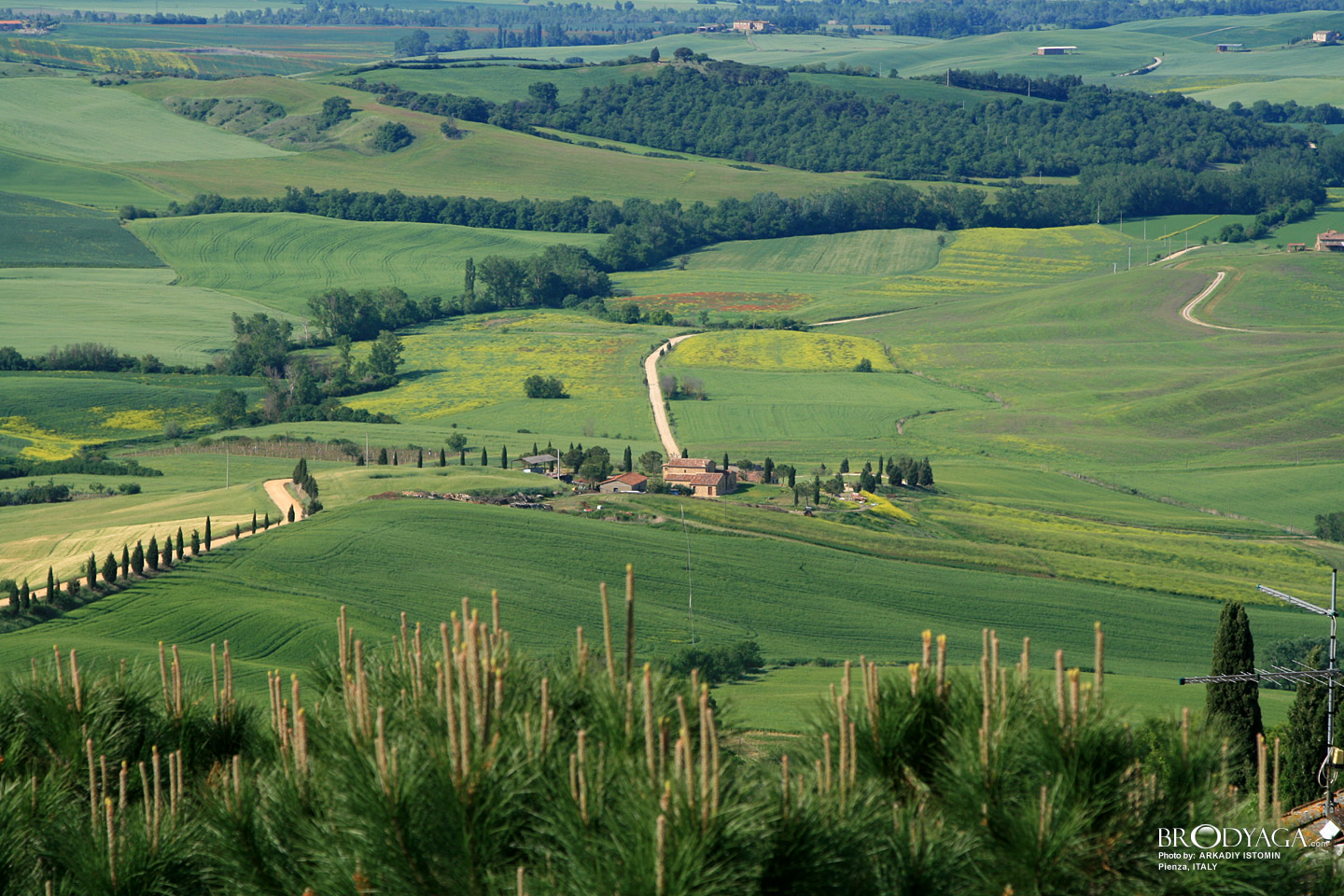 Pienza